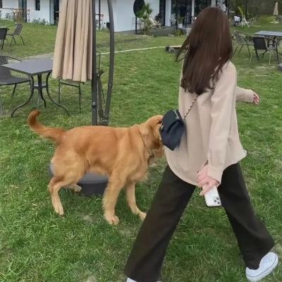 云端男女